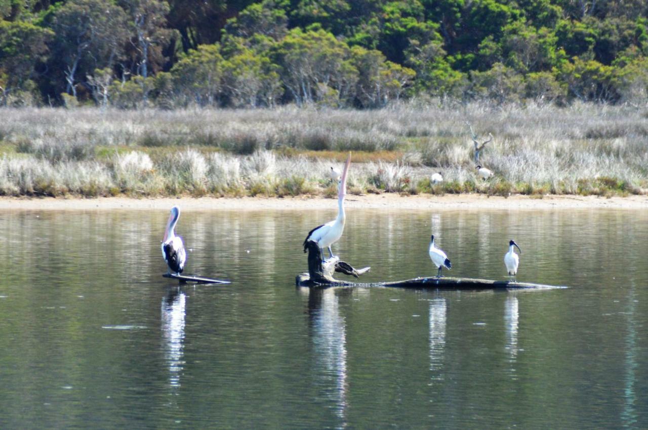 Kalgan River Chalets And Caravan Park エクステリア 写真