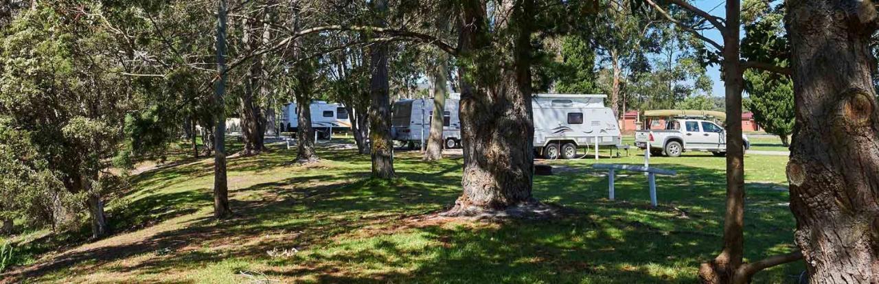 Kalgan River Chalets And Caravan Park エクステリア 写真